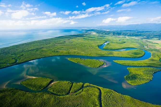 Daintree River wwwcairnsaustraliacommediaimagesgallerygall