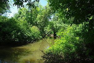 Dairy Creek (Oregon) httpsuploadwikimediaorgwikipediacommonsthu