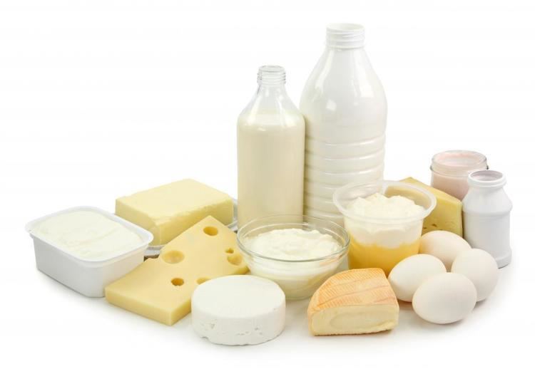 Dairy product Dairy Products