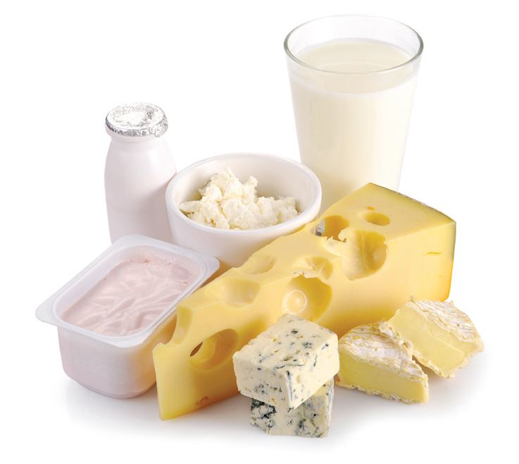 Dairy product Cultures for dairy Products DSM