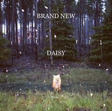 Daisy (Brand New album) httpsuploadwikimediaorgwikipediaenthumba