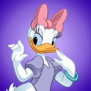 Daisy Duck Daisy Duck Disney Mickey