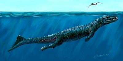 Dakosaurus Dakosaurus paleofilescom