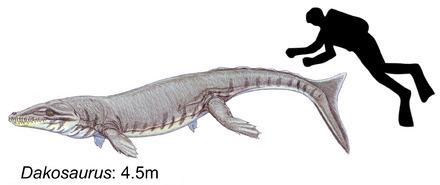 Dakosaurus Dakosaurus Wikiwand