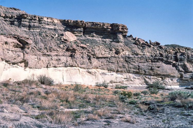 Dakota Formation Basal Conglomerate of the Dakota Formation WABAC Digitize Flickr