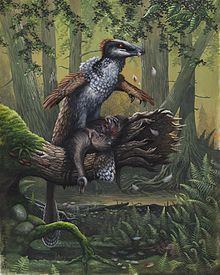 Dakotaraptor httpsuploadwikimediaorgwikipediacommonsthu