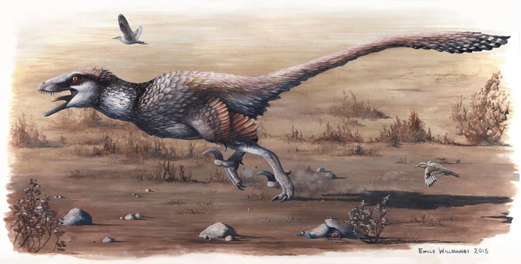 Dakotaraptor Dakotaraptor Wikipedia