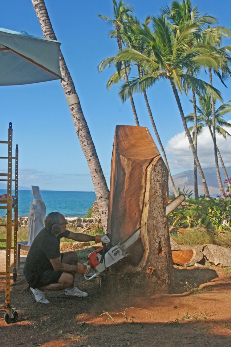 Dale Zarrella Dale Zarrella Completes Another Statue Welcome to Maui