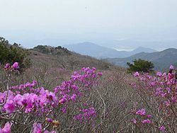 Dalseong County httpsuploadwikimediaorgwikipediacommonsthu