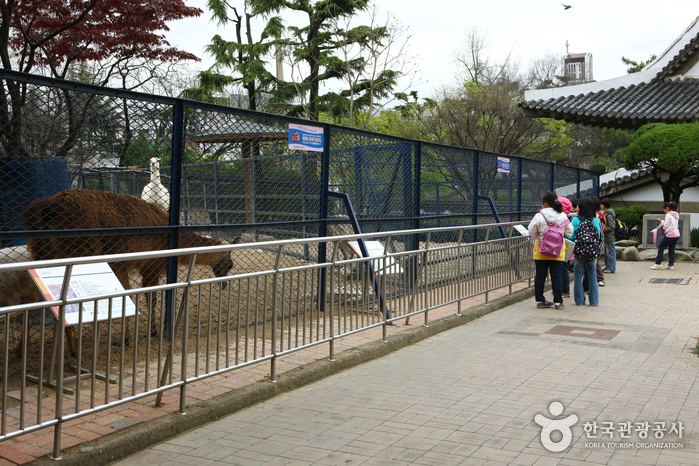 In Daegu zoo for porn free Animal Porn