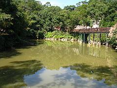 Dalun Lake httpsuploadwikimediaorgwikipediacommonsthu