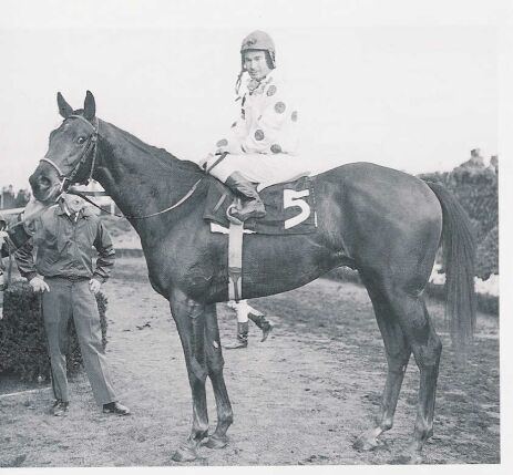 Damascus (horse) Damascus 1967 Horse of the Year