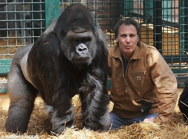Damian Aspinall Damian Aspinall raised gorillas in Kent zoo but they were