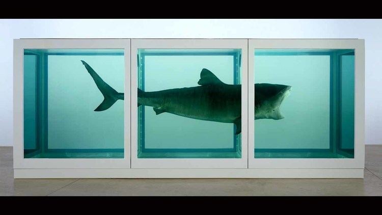 Damien Hirst Rotting Damien Hirst Shark 33 Jeff Koonses and Other Art Financial