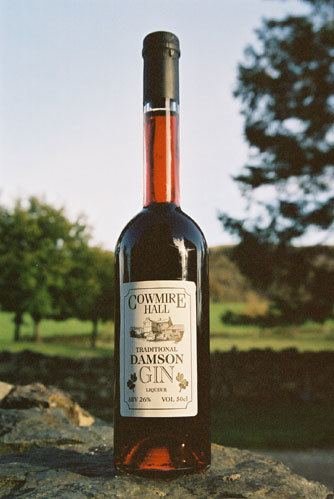 Damson gin The original traditional damson gin from the Lyth Valley in the Lake