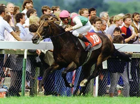 Dancing Brave Vote for your best 2000 Guineas winner of the 1980s Daily Mail Online