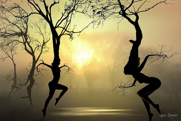 Dancing Trees Dancing Trees by Igor Zenin Redbubble