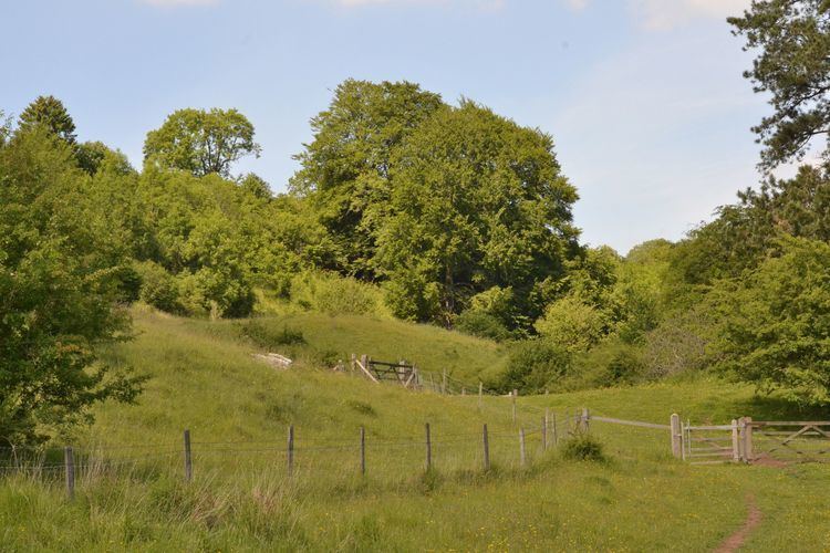 Daneway Banks SSSI httpsramblingsnscribblingsfileswordpresscom