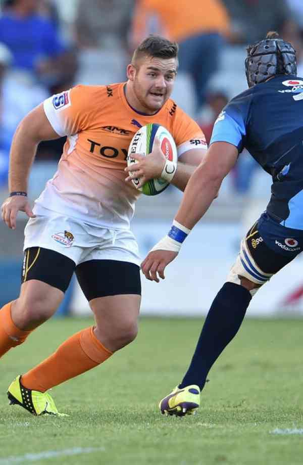Danie Mienie Danie Mienie Ultimate Rugby Players News Fixtures and Live Results