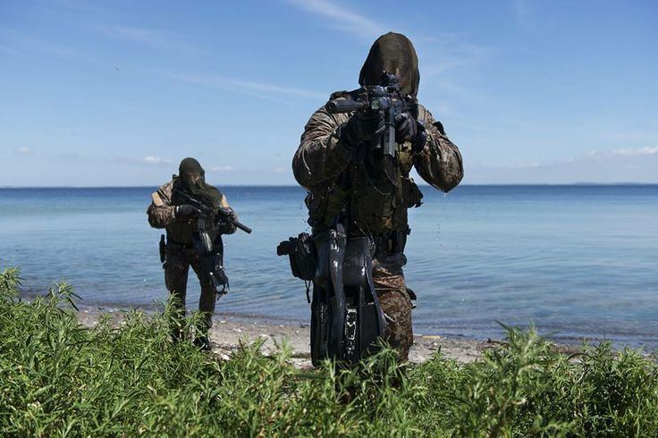 Danish Frogmen Corps The Danish Frogman Corps Naval Special Forces Military Heroes