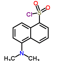 Dansyl chloride Dansyl chloride C12H12ClNO2S ChemSpider