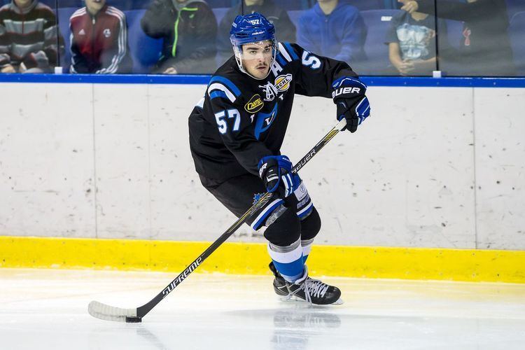 Dante Fabbro 2016 NHL Draft Profile Dante Fabbro is a quotcalculatedquot yet poised
