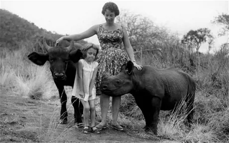 Daphne Sheldrick The woman who fosters elephants in Kenya Telegraph