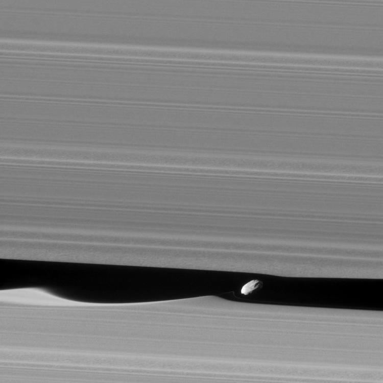 Daphnis (moon) Saturn39s shepherd moon Daphnis makes waves Astronomy Now