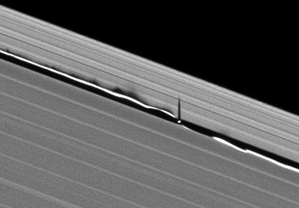 Daphnis (moon) Daphnis makes waves in Saturn39s rings