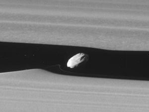 Daphnis (moon) httpsuploadwikimediaorgwikipediacommonsthu