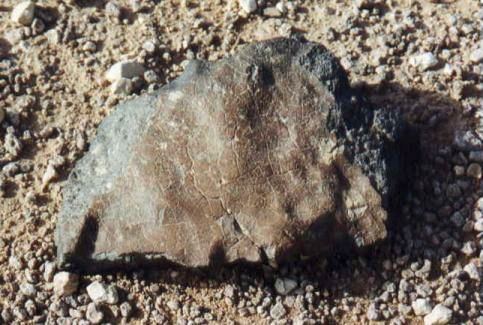 Dar al Gani Dar al Gani 400 Lunar Meteorite