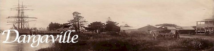 Dargaville in the past, History of Dargaville