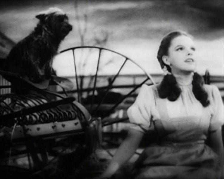 Dark Rainbow movie scenes Judy Garland Over the Rainbow 2 jpg