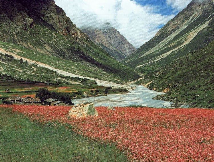 Darma Valley Trek in Darma Valley for a memorable sight of Panch Chuli peaks