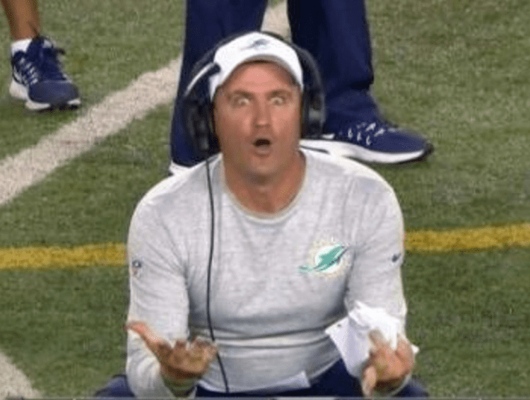Darren Rizzi Dolphins coach goes crazy over incredibly stupid penalty theScorecom