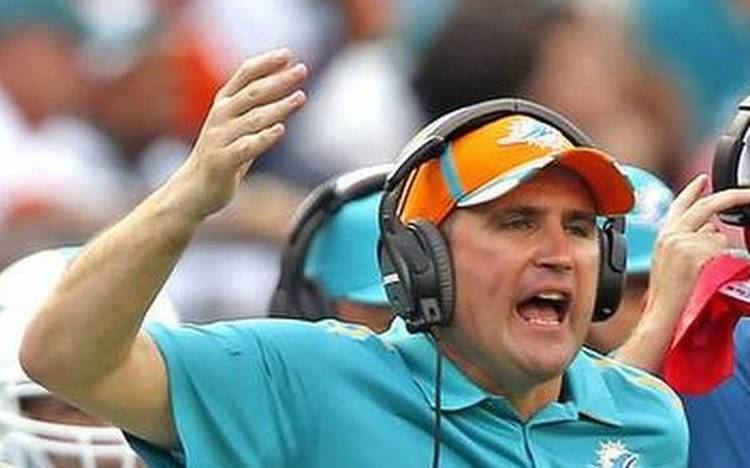 Darren Rizzi Dolphins promote Darren Rizzi to assistant head coach Miami Herald