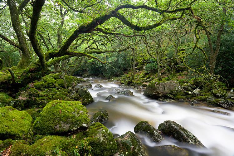 Dartmoor Forest wwwwydemeetdartmoorcomuploads32713271616