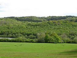 Darwell Wood httpsuploadwikimediaorgwikipediacommonsthu