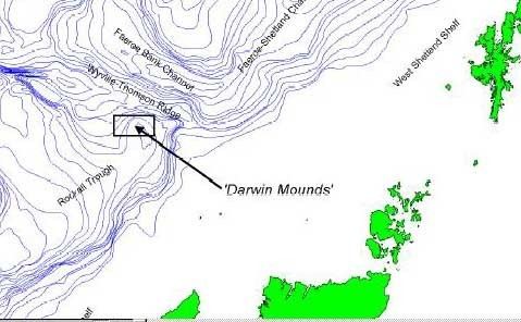 Darwin Mounds TORPEDO 2003 MARINE LIFE NEWS BULLETIN