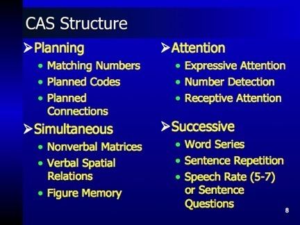 Das–Naglieri cognitive assessment system