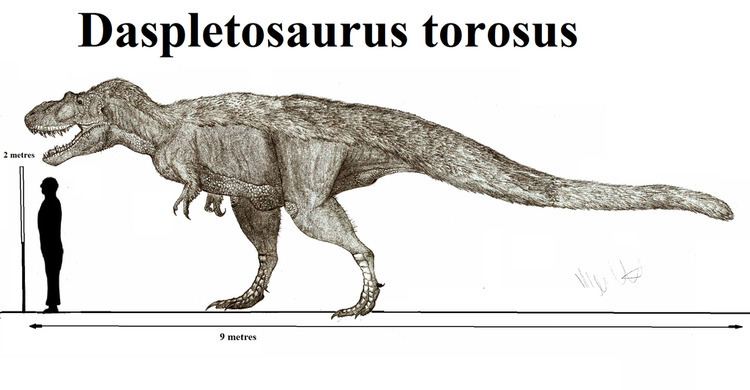 Daspletosaurus Daspletosaurus Facts and Pictures