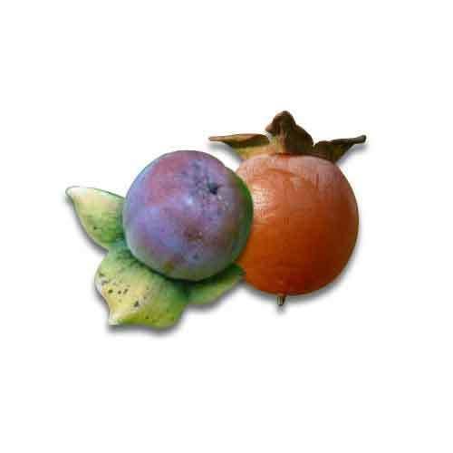 Date-plum Date plum Nutrition factsDate plum Health benefits