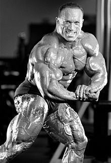 Dave Palumbo httpsuploadwikimediaorgwikipediacommonsthu