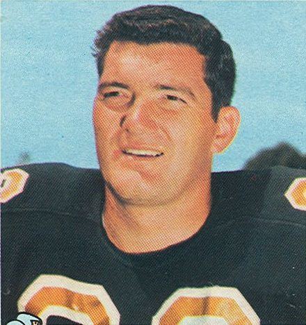 Dave Parks WFL World Football League Players