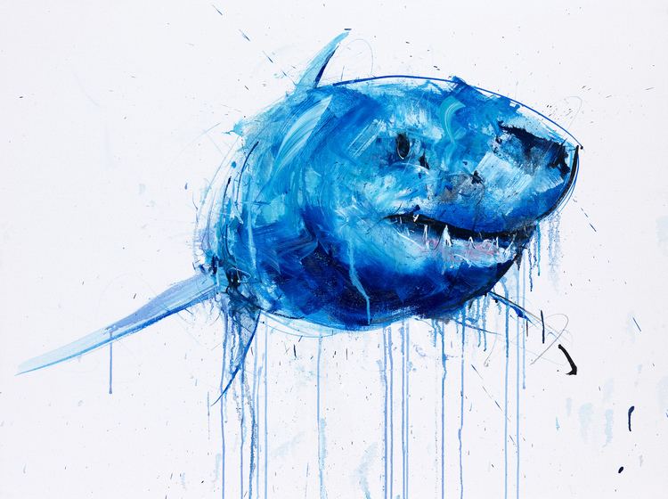 Dave White (artist) Dave White delves into the world of great white sharks in latest