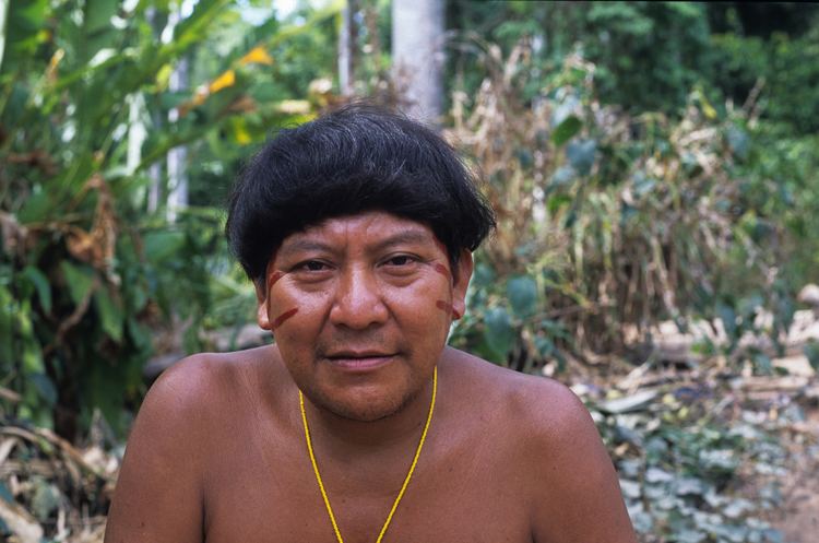 Davi Kopenawa Yanomami Media kits Survival International