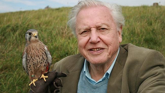 David Attenborough Sir David Attenborough has revealed in a Reddit chat that