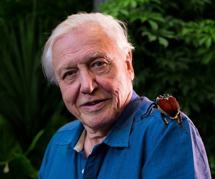 David Attenborough David Attenborough Biography Childhood Life Achievements Timeline