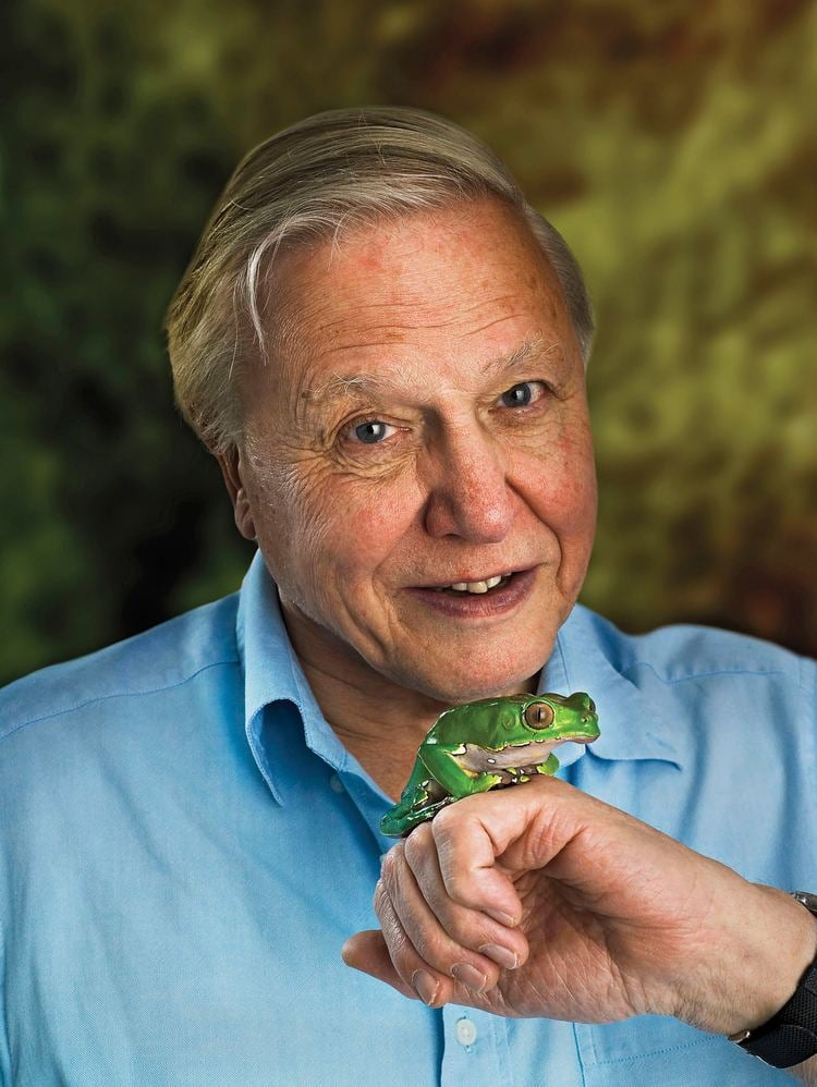 David Attenborough Sir David Attenborough Filmmakers for Conservation