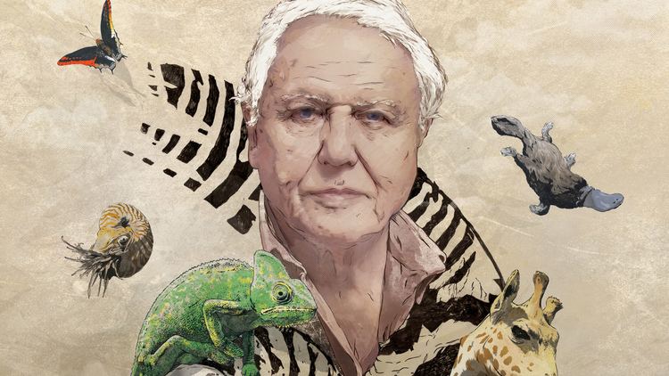 David Attenborough's Natural Curiosities RT David Attenborough39s Natural Curiosities Eden39s Competitions